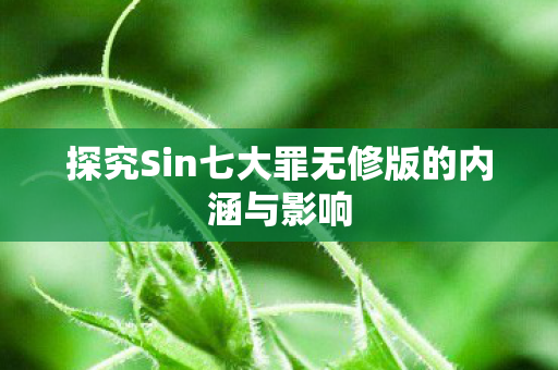 探究Sin七大罪无修版的内涵与影响