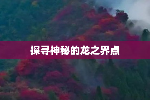 探寻神秘的龙之界点