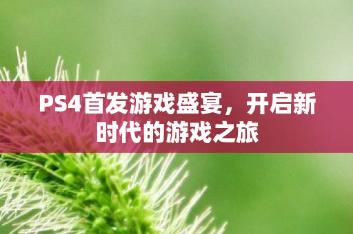 PS4首发游戏盛宴，开启新时代的游戏之旅