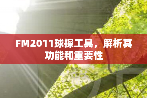 FM2011球探工具，解析其功能和重要性