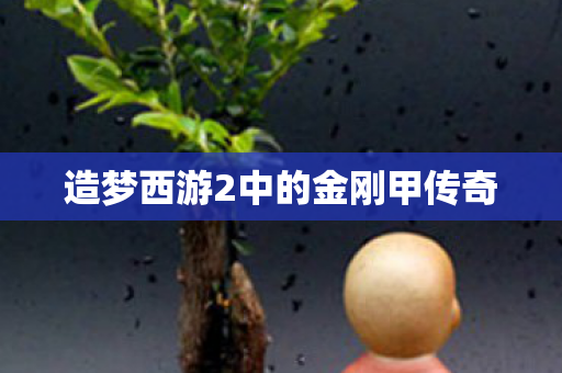 造梦西游2中的金刚甲传奇
