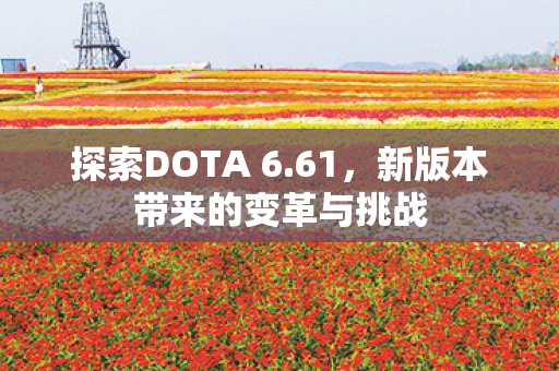 探索DOTA 6.61，新版本带来的变革与挑战