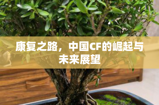 康复之路，中国CF的崛起与未来展望