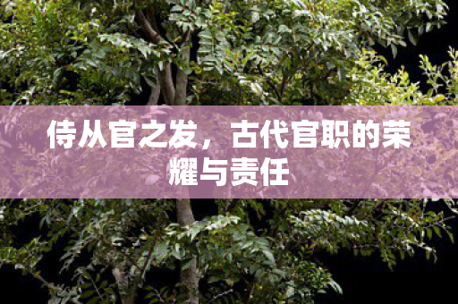 侍从官之发，古代官职的荣耀与责任