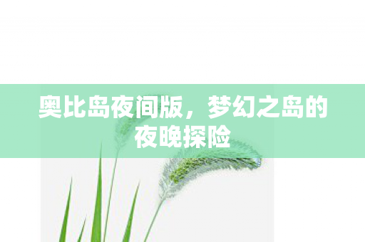 奥比岛夜间版，梦幻之岛的夜晚探险