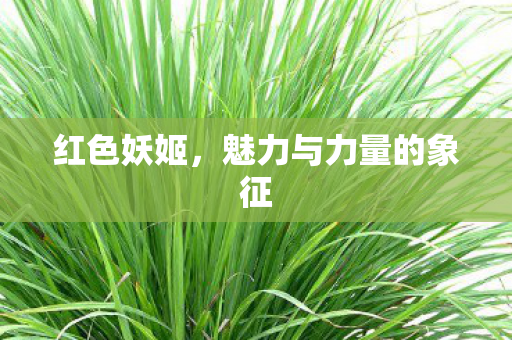 红色妖姬，魅力与力量的象征