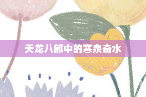 天龙八部中的寒泉奇水