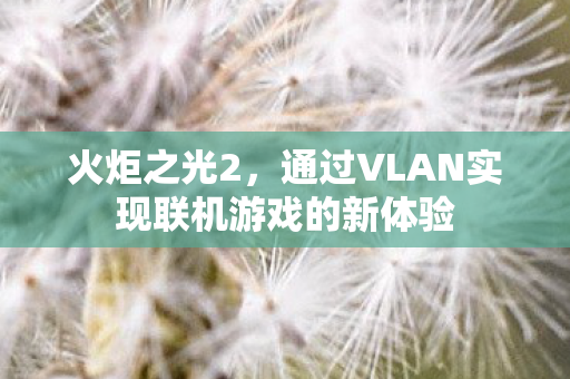 火炬之光2，通过VLAN实现联机游戏的新体验