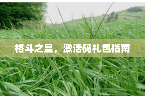 格斗之皇，激活码礼包指南