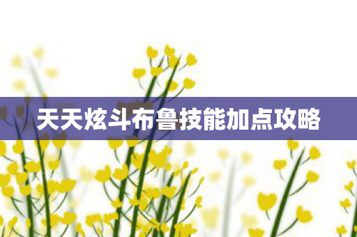 天天炫斗布鲁技能加点攻略