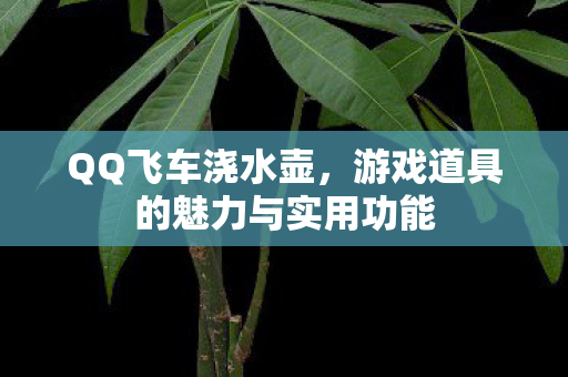 QQ飞车浇水壶，游戏道具的魅力与实用功能