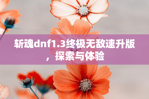 斩魂dnf1.3终极无敌速升版，探索与体验