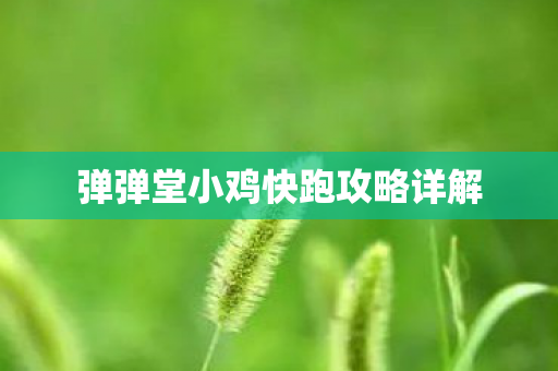 弹弹堂小鸡快跑攻略详解