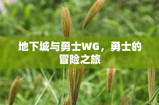 地下城与勇士WG，勇士的冒险之旅