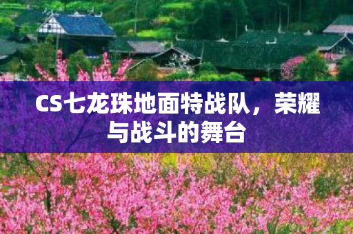 CS七龙珠地面特战队，荣耀与战斗的舞台