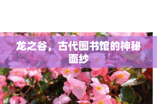 龙之谷，古代图书馆的神秘面纱