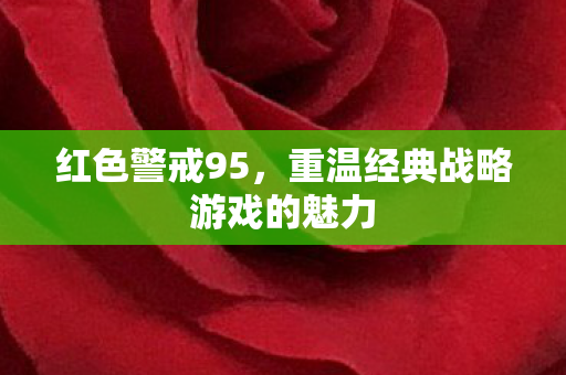 红色警戒95，重温经典战略游戏的魅力