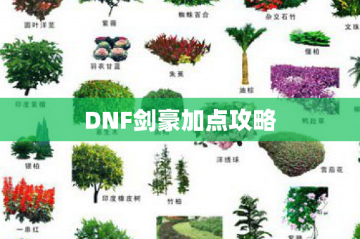 DNF剑豪加点攻略