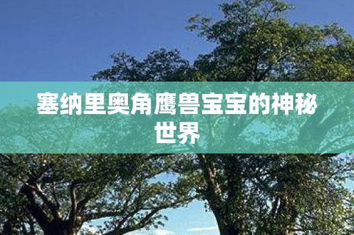 塞纳里奥角鹰兽宝宝的神秘世界