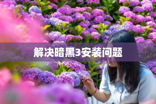 解决暗黑3安装问题