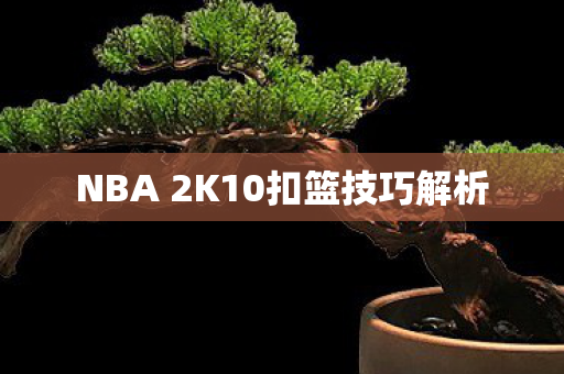 NBA 2K10扣篮技巧解析
