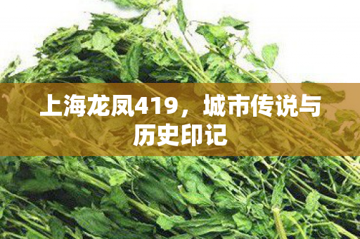 上海龙凤419，城市传说与历史印记