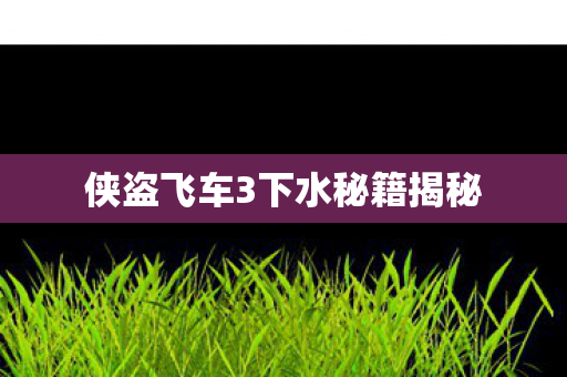 侠盗飞车3下水秘籍揭秘