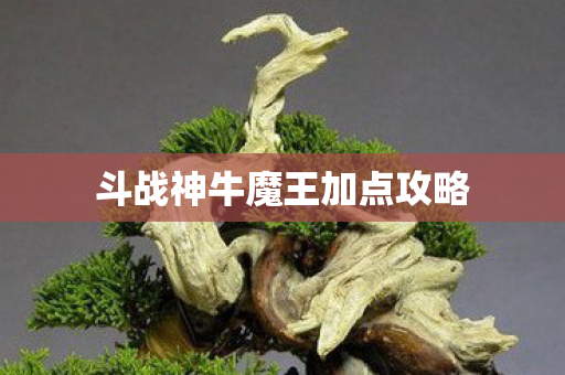 斗战神牛魔王加点攻略