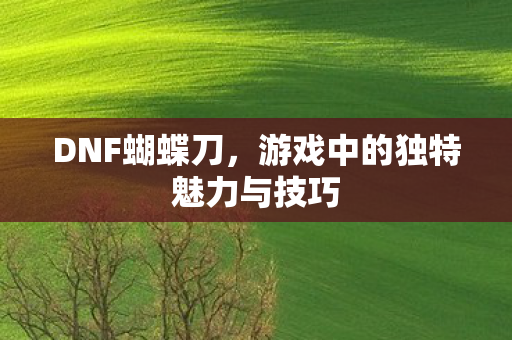 DNF蝴蝶刀，游戏中的独特魅力与技巧