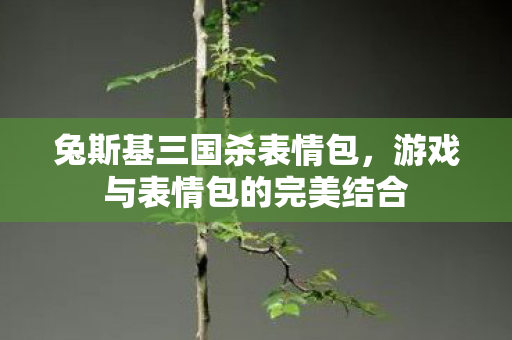 兔斯基三国杀表情包，游戏与表情包的完美结合