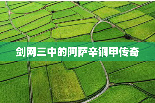 剑网三中的阿萨辛铜甲传奇