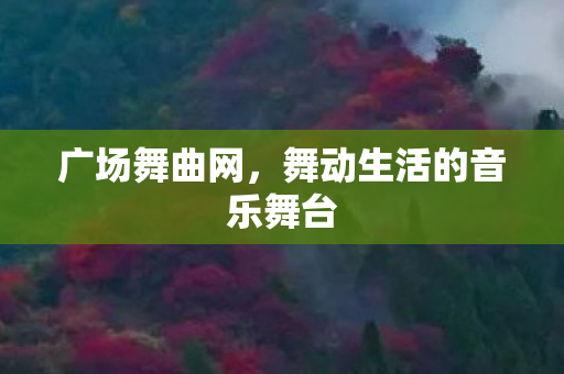 广场舞曲网，舞动生活的音乐舞台