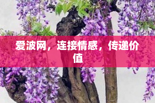 爱波网，连接情感，传递价值
