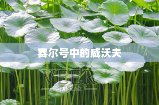 赛尔号中的威沃夫