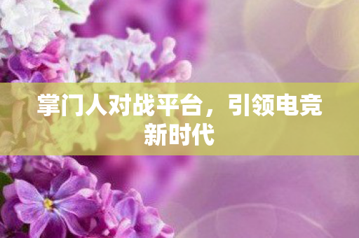 掌门人对战平台，引领电竞新时代
