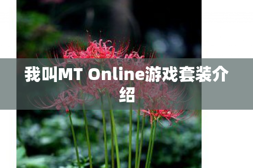 我叫MT Online游戏套装介绍