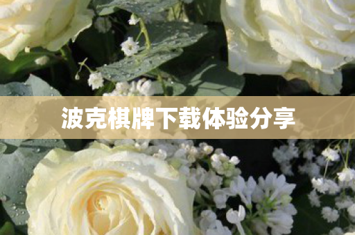 波克棋牌下载体验分享