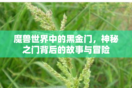 魔兽世界中的黑金门，神秘之门背后的故事与冒险
