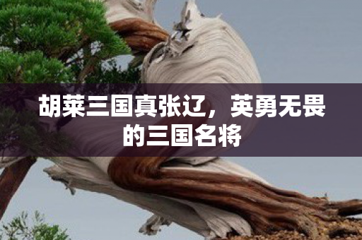 胡莱三国真张辽，英勇无畏的三国名将