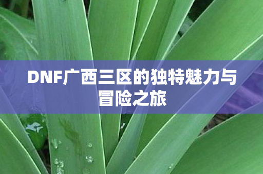 DNF广西三区的独特魅力与冒险之旅