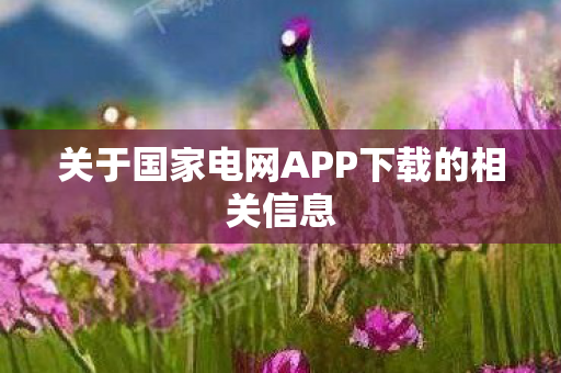 关于国家电网APP下载的相关信息