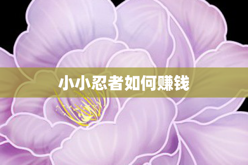小小忍者如何赚钱