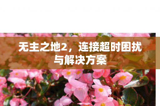 无主之地2，连接超时困扰与解决方案