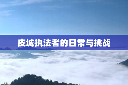 皮城执法者的日常与挑战