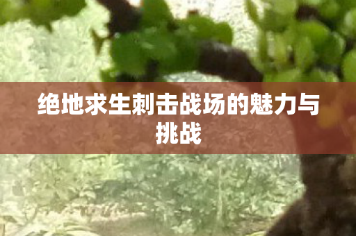 绝地求生刺击战场的魅力与挑战