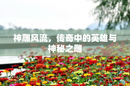 神雕风流，传奇中的英雄与神秘之雕