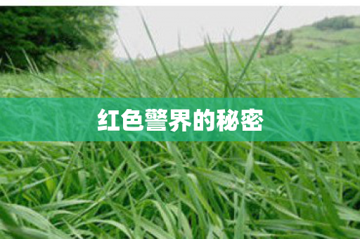 红色警界的秘密