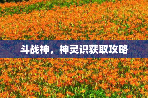 斗战神，神灵识获取攻略