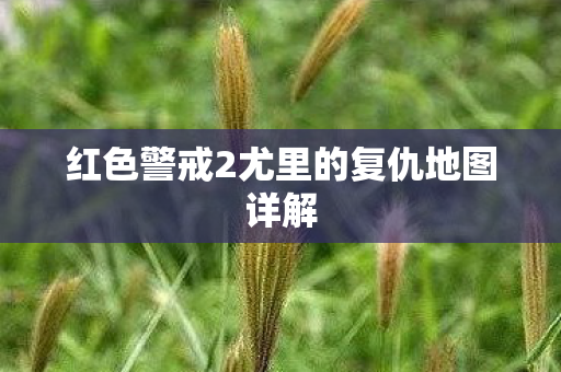 红色警戒2尤里的复仇地图详解