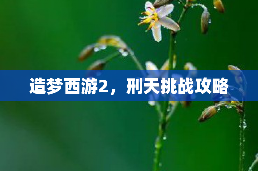 造梦西游2，刑天挑战攻略
